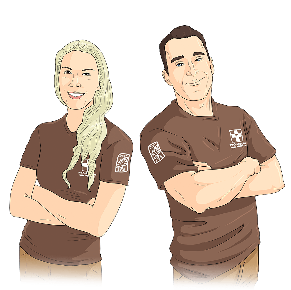 Image is not available