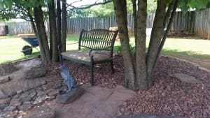 Stumps that grew back and look nice