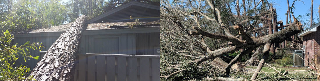 Call 770 Arborist for 24-hour emergency tree removal