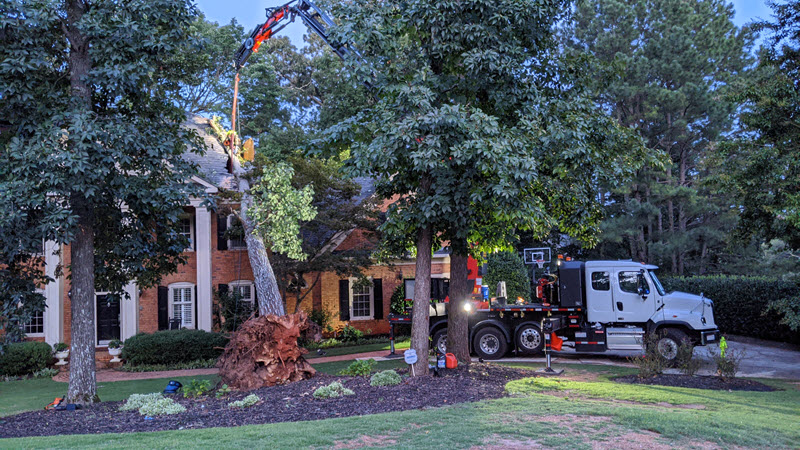 Uprooted tree on home in Dunwoody, GA