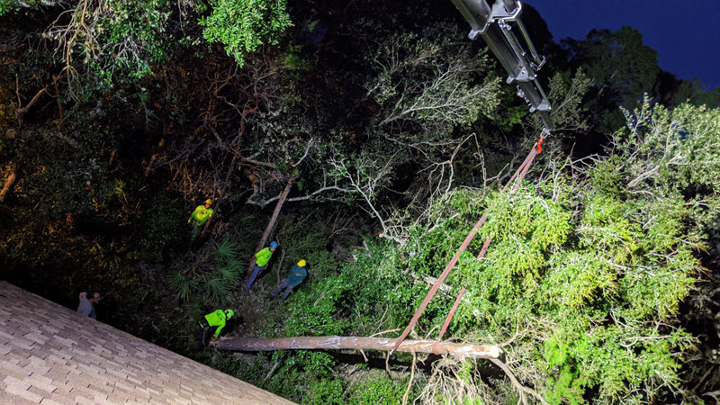 Emergency tree removal at night in the Mobile, AL area after Hurricane Sally