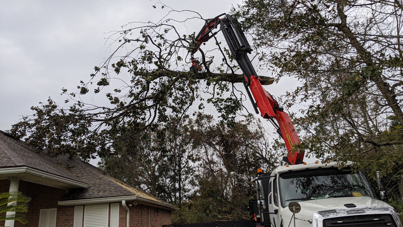 Our tree crane removing trees near Mobile AL in September of 2020