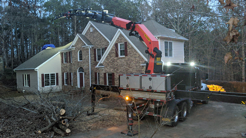 tree removal fayetteville ga