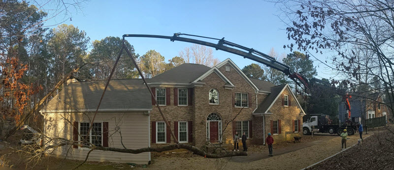 Remedial emergency tree removal in Acworth GA, February 2021