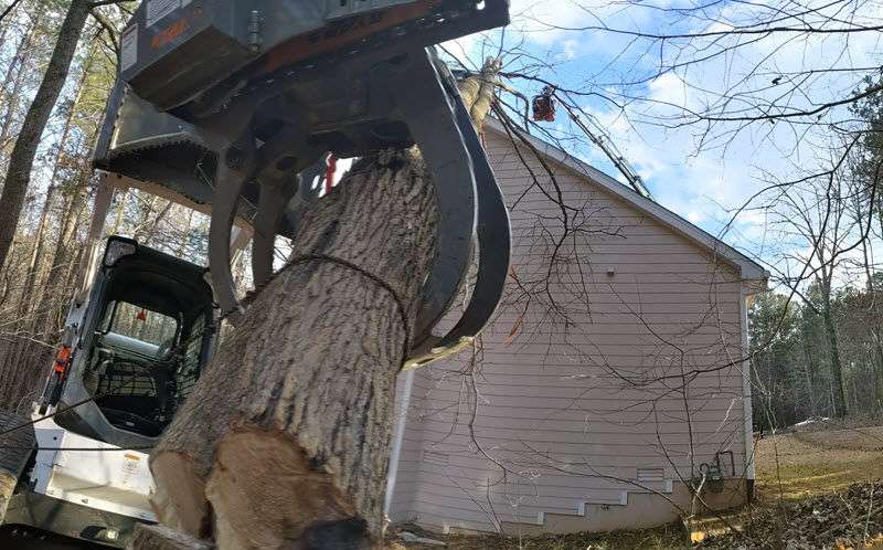 Remedial emergency tree removal in Acworth GA, February 2021