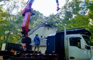 tree removal services near me